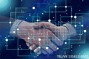 區(qū)塊鏈技術(shù)開(kāi)發(fā) 應(yīng)用場(chǎng)景概覽與技術(shù)路徑