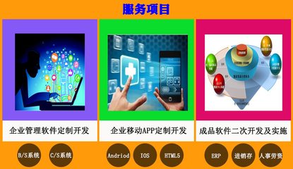 企業(yè)管理軟件開發(fā)