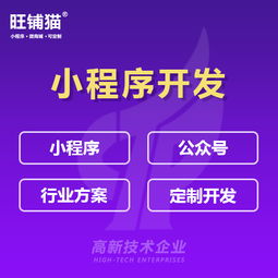 江門淘客系統定制開發 淘寶客網站定制 優惠券商城制作建設 江門析客