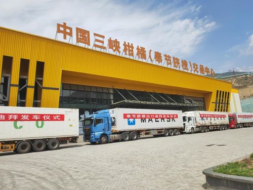 金橙飄香拓眼界 重慶奉節(jié)品牌添翼，促產(chǎn)業(yè)煥發(fā)新機(jī)